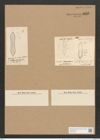 Nitzschia novae-hollandiae Grun. (de-Toni-Nr.: Genus 47, Species 2018) Zeichnungen Sammlung Grunow Nr. 3995 (NHMW-BOT-W0371783)
